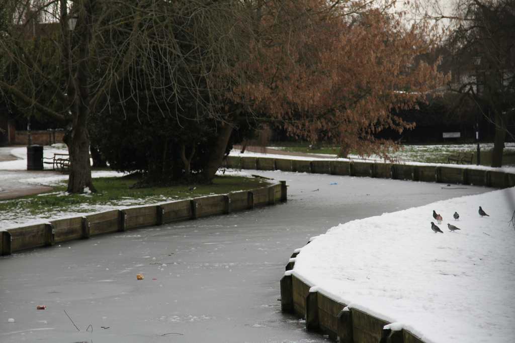 fashion blog, frozen lake