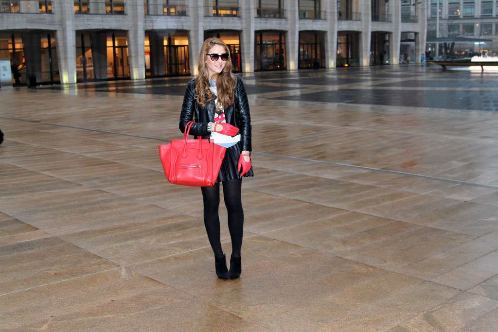 celine, hermes, louboutin, blog, fashion, usa