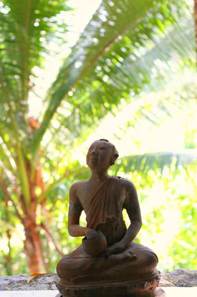 IMG_0002