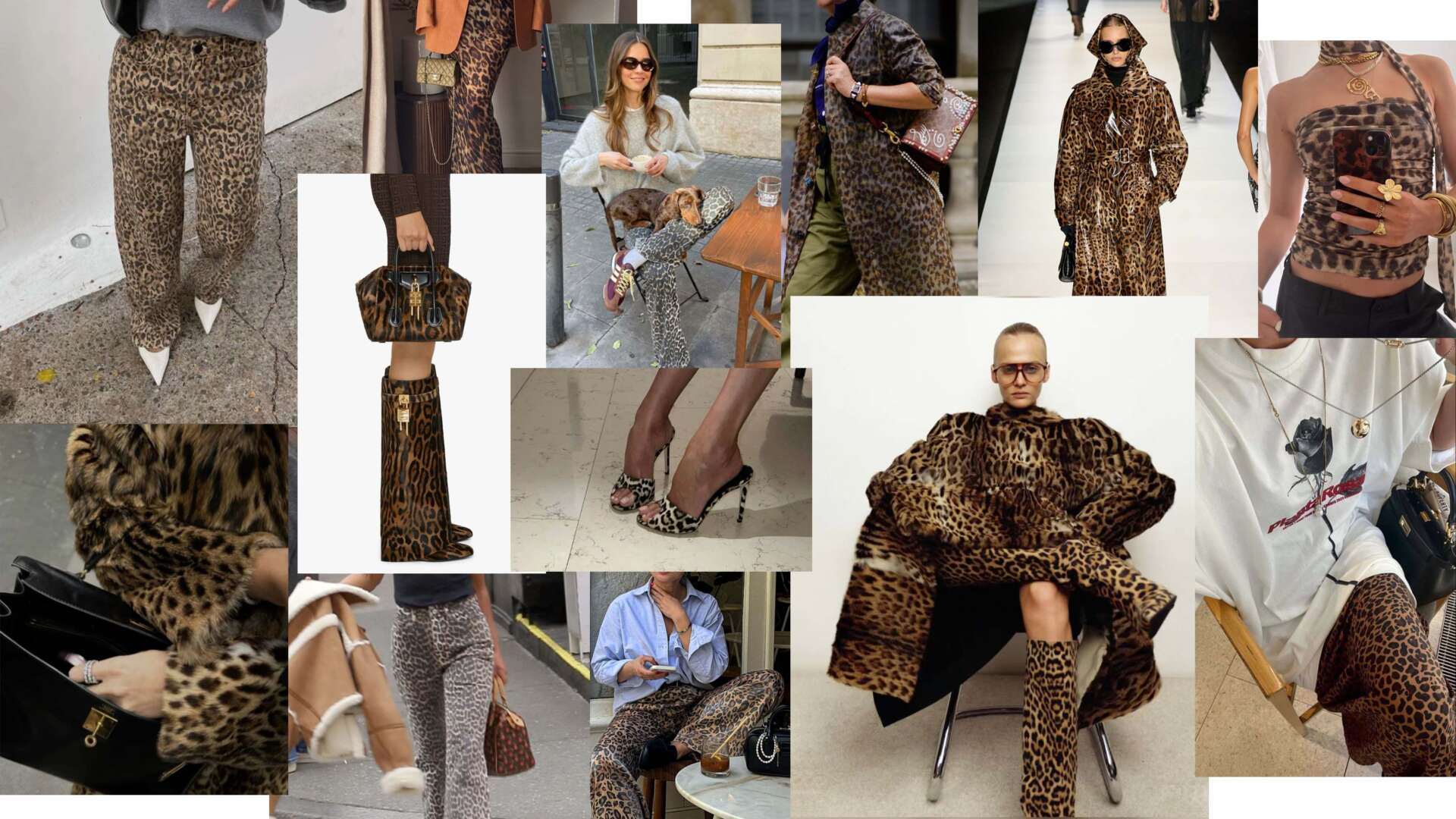 leopard-print-trend-tamara-kalinic-3