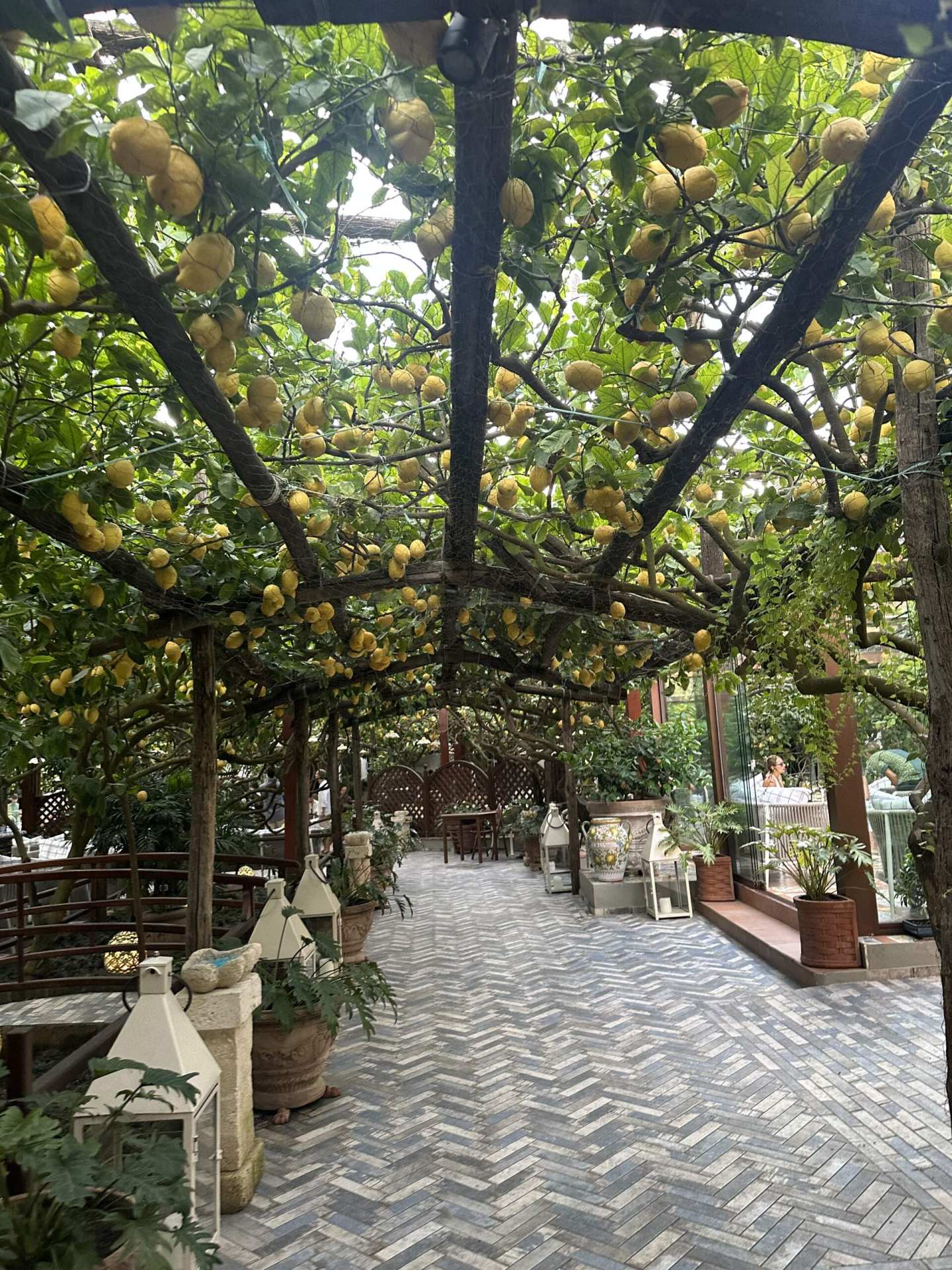 Capri-Restaurant-Guide