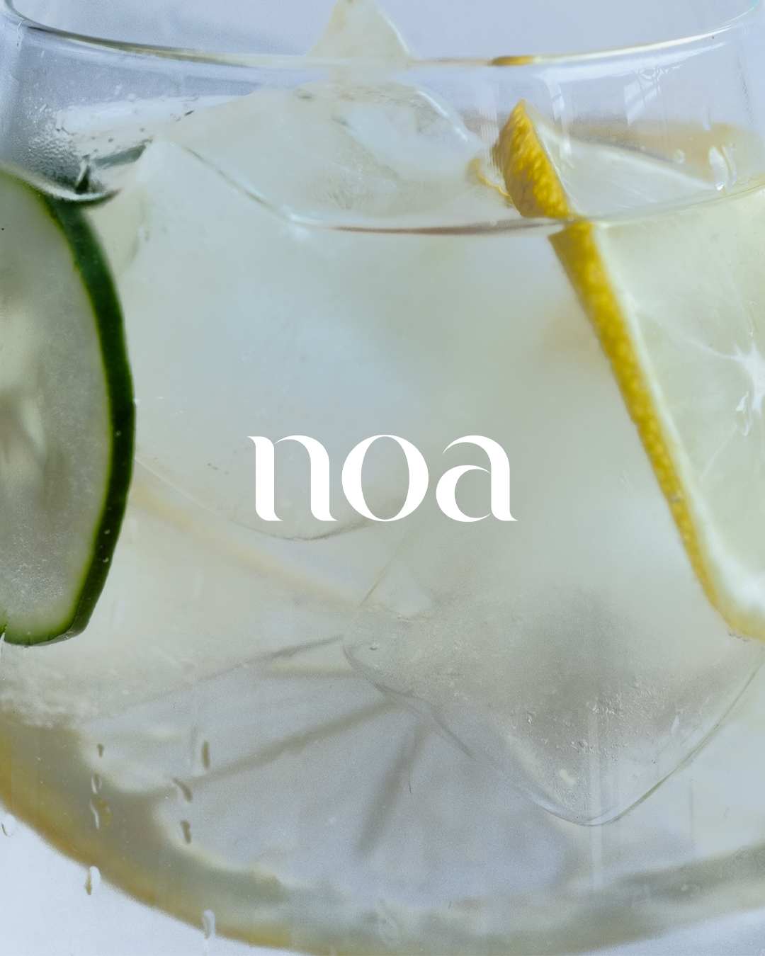 Noa-Supplements-Tamara-Kalinic