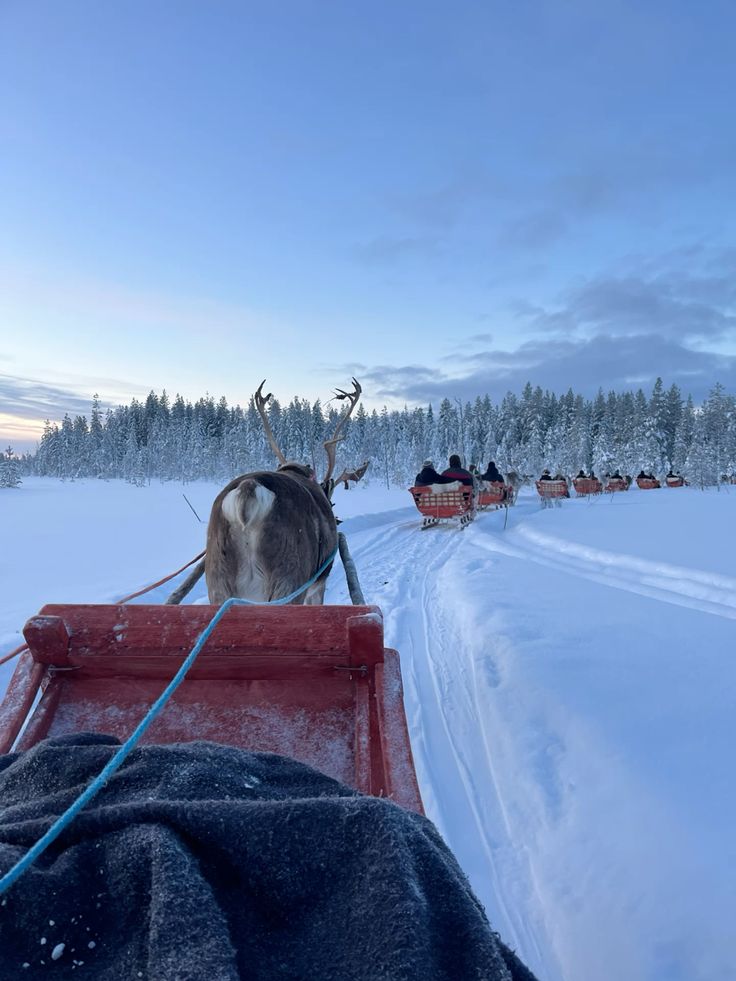 Favourite-Winter-Destination