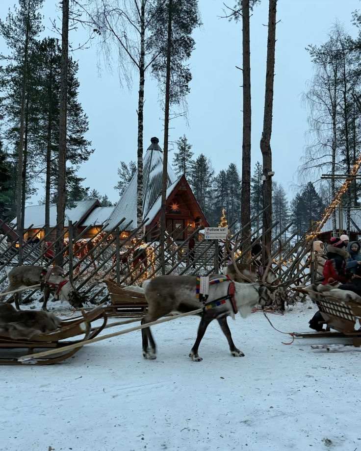 Favourite-Winter-Destination