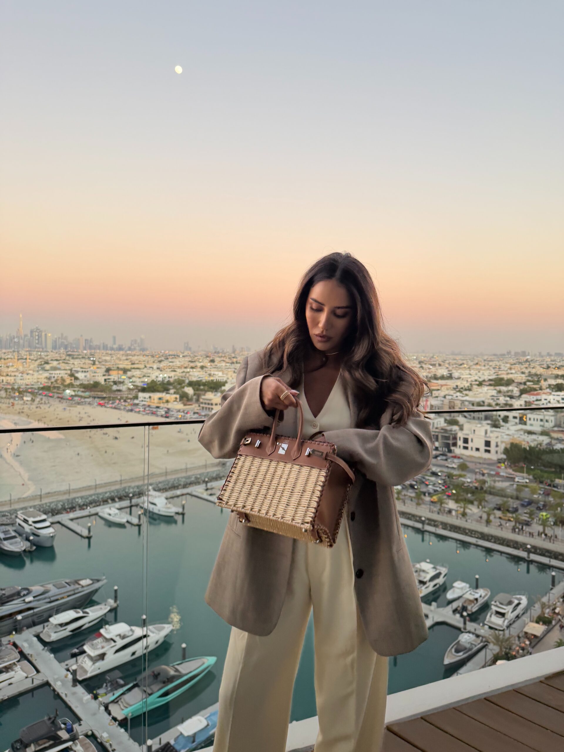 hermes-picnic-birkin-sellier-25-review.jpg hermes-picnic-birkin-sellier-25-review.jpg