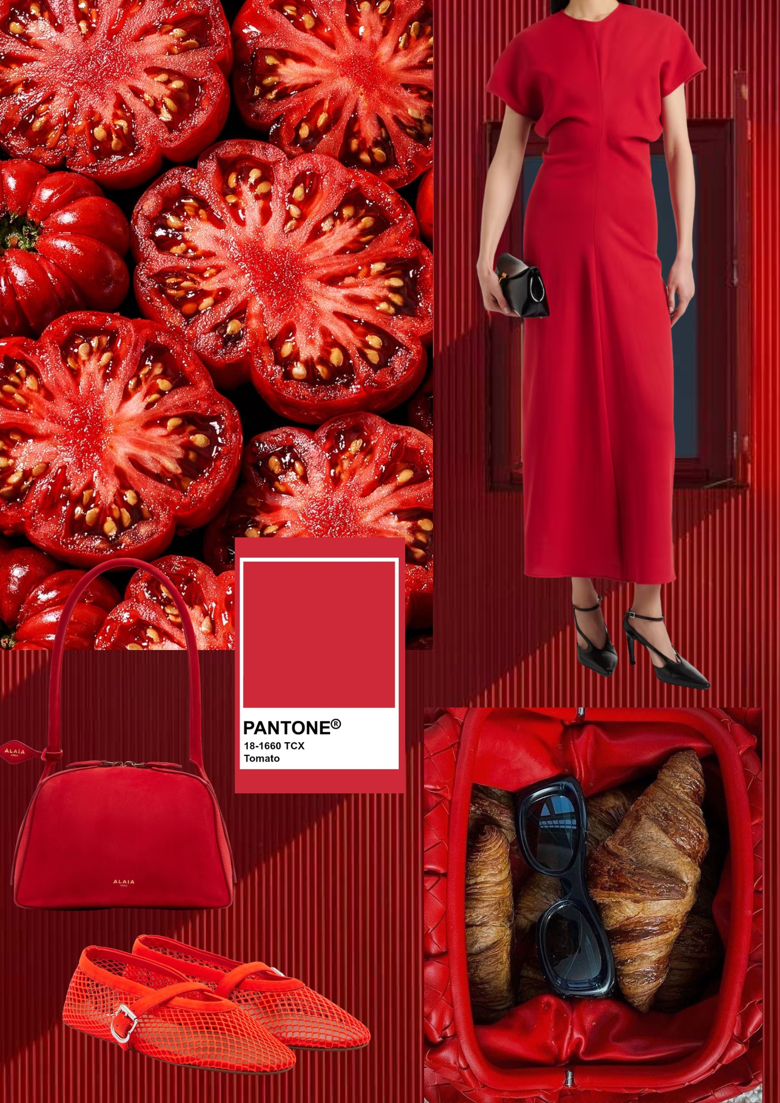 summer-colours-2026-tamara-kalinic.jpg