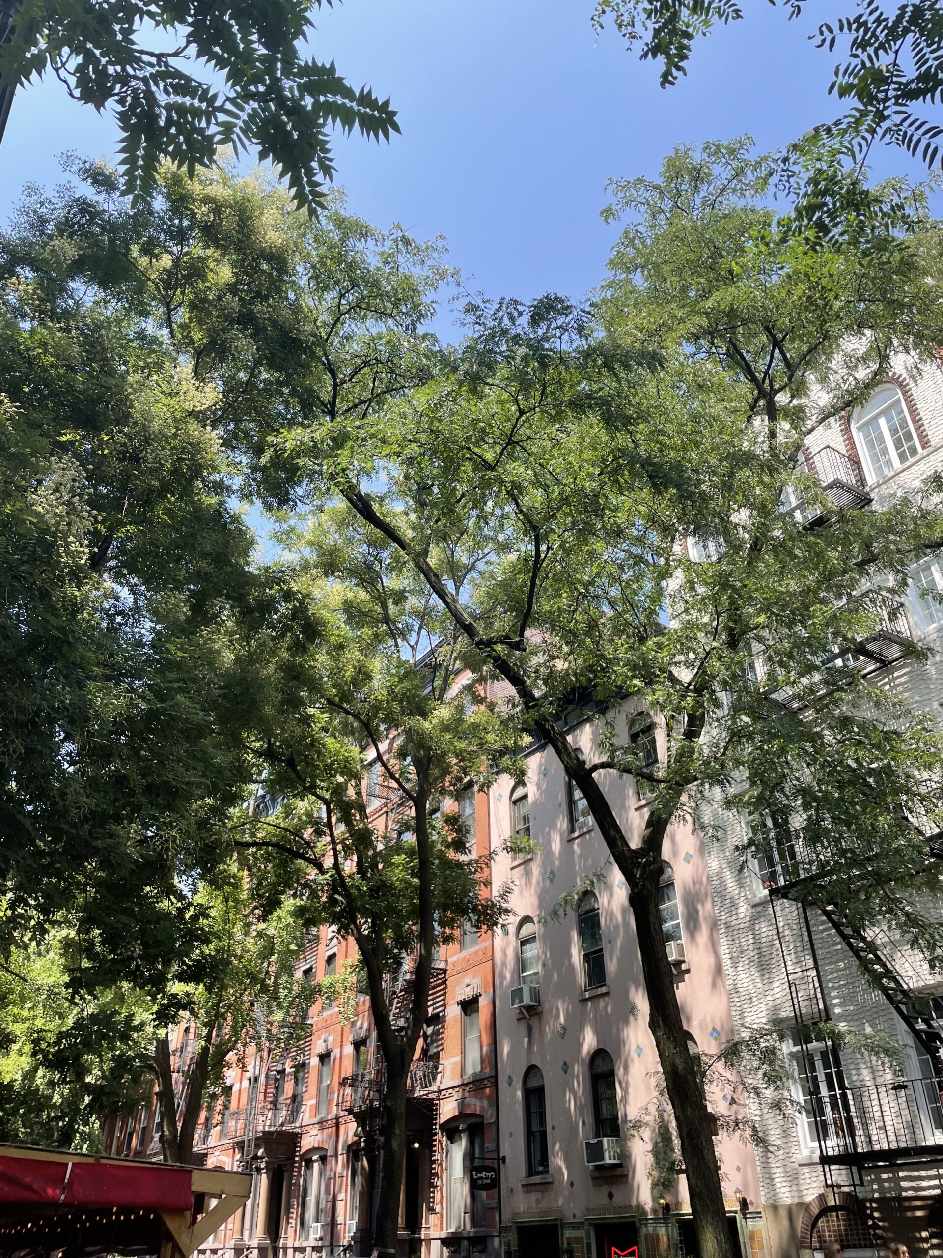 westvillage