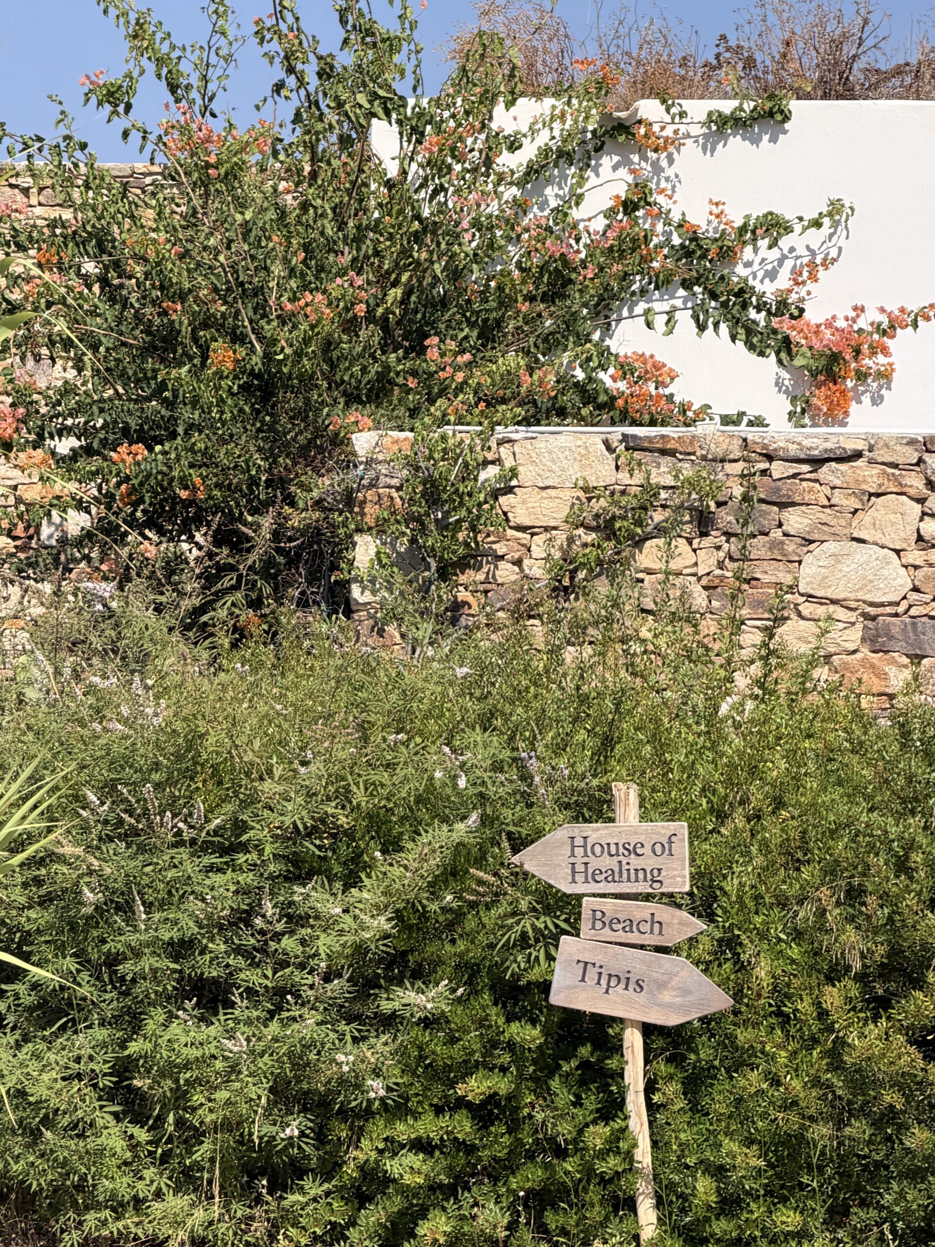 the-rooster-antiparos-hotel.jpg
