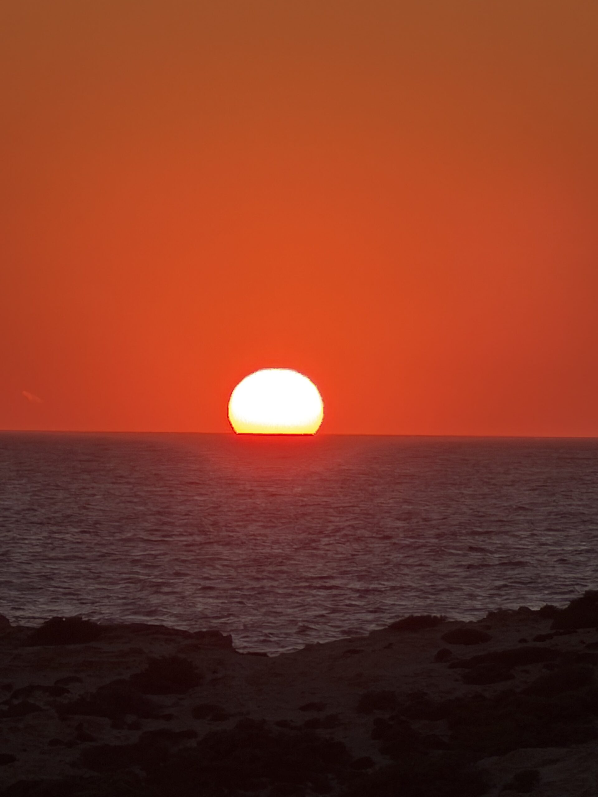 the-rooster-antiparos-hotel.jpg