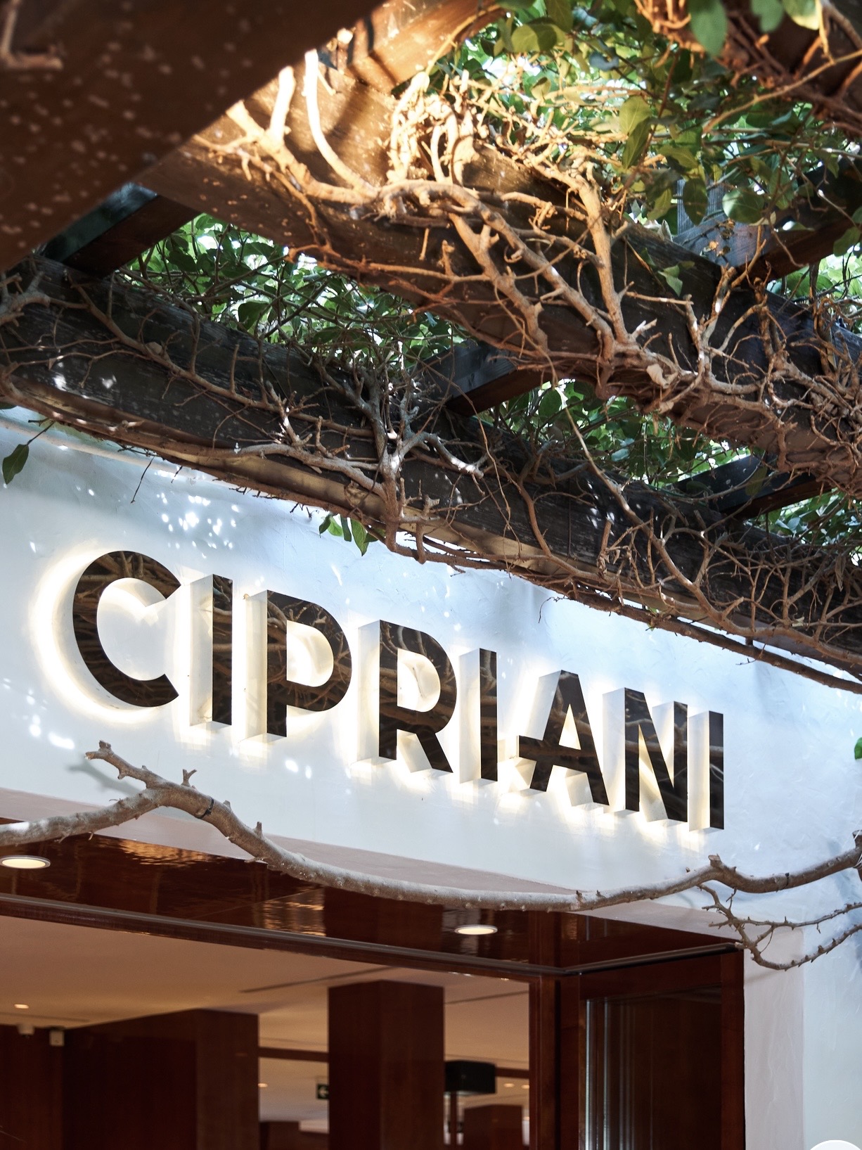 Puente-Romano-Marbella-Hotel-Reveiw