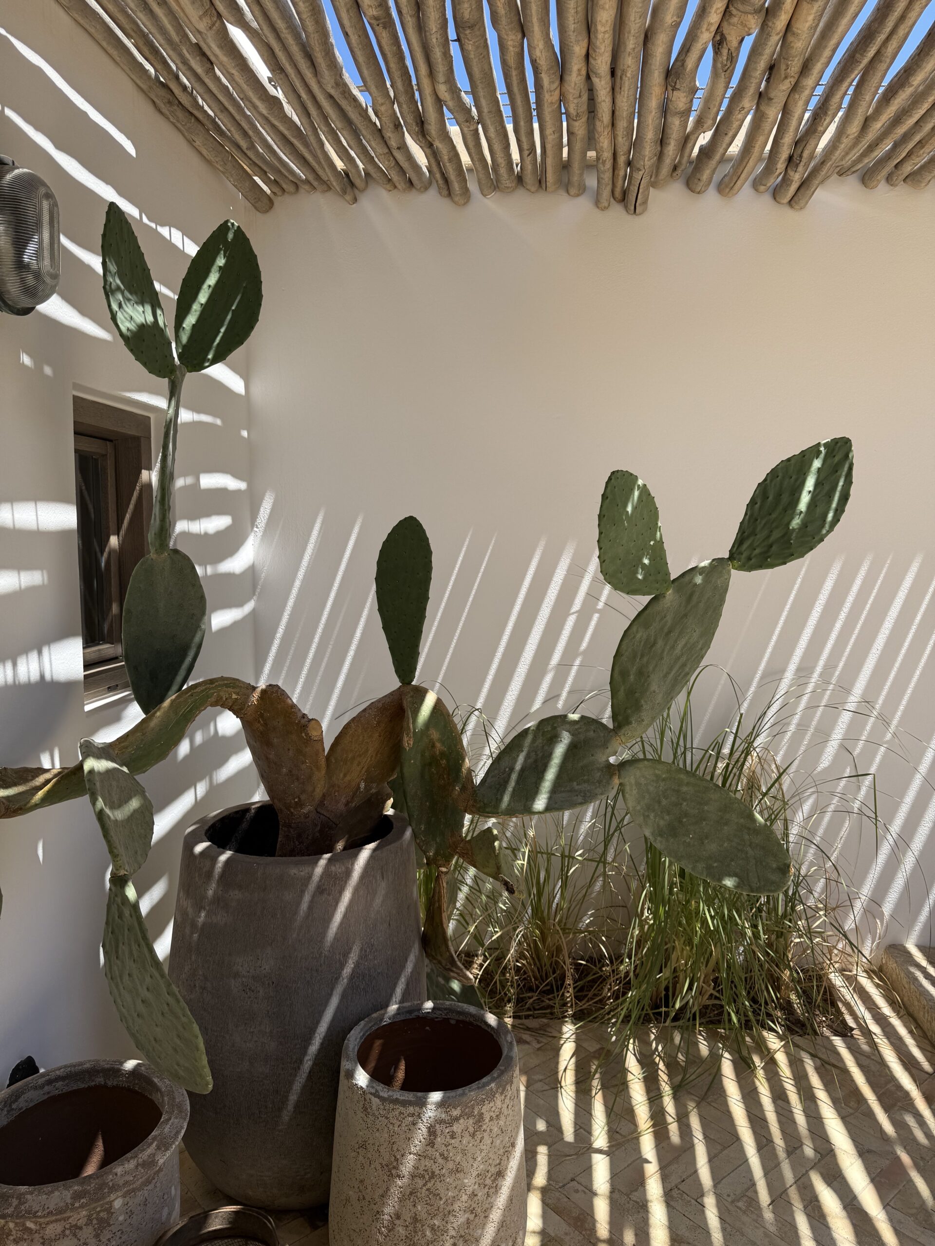 the-rooster-antiparos-hotel.jpg